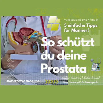 Prostatagesundheit: Vorsorge und Warnzeichen – sachliche Einordnung und Sicherheit