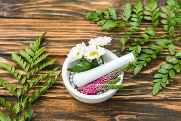 Alles Rund um das Homöopathische CBD-Globuli