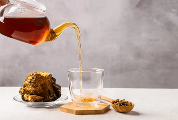 Kombucha-Kultur: Grundlagen und sichere Fermentation – sachliche Einordnung und Sicherheit
