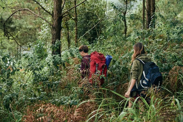 Wanderung im Wald als Symbol für Energie und Ausdauer