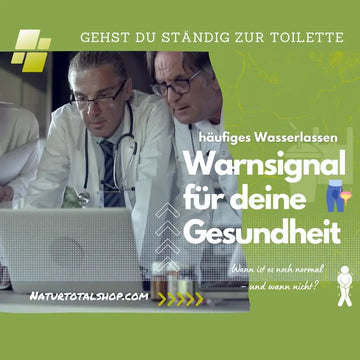 Häufiges Wasserlassen: Ursachen und Warnzeichen – sachliche Einordnung und Sicherheit
