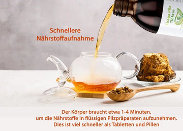 Heißgetränk aus Birken-Chaga als traditionelles Pilzprodukt