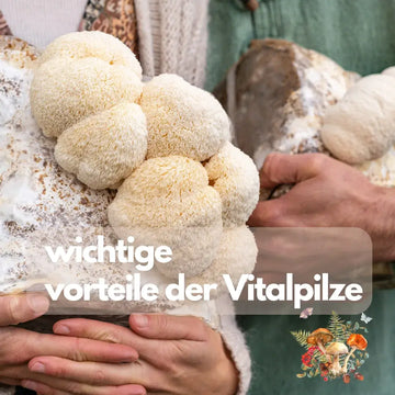 Vitalpilze: Mögliche Vorteile realistisch bewerten – sachliche Einordnung und Sicherheit