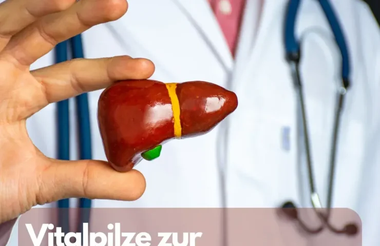 Vitalpilze zur Unterstützung der Leber Die Vorteile von Vitalpilzen für die Entgiftung und Gesundheit der Leber.