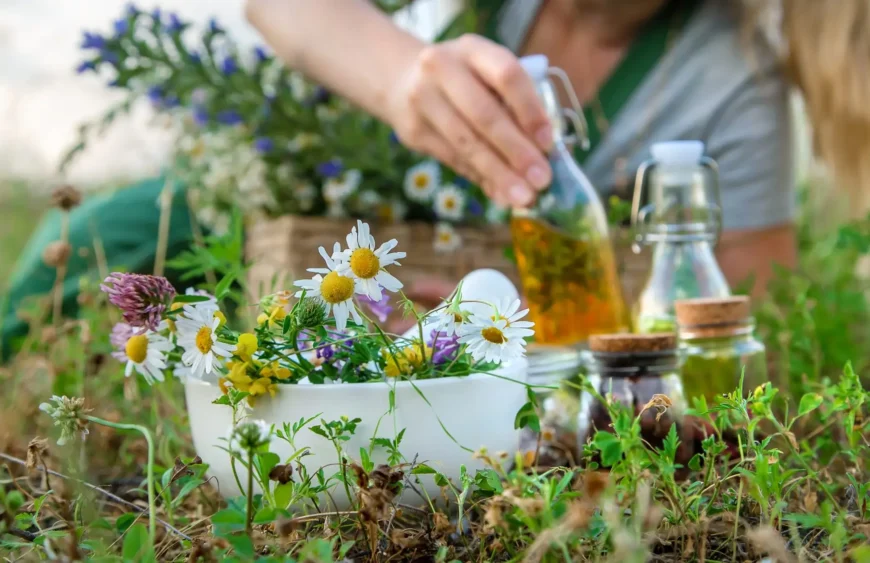Die Wunder der Homöopathie: Natürliche Heilung für Körper und Geist