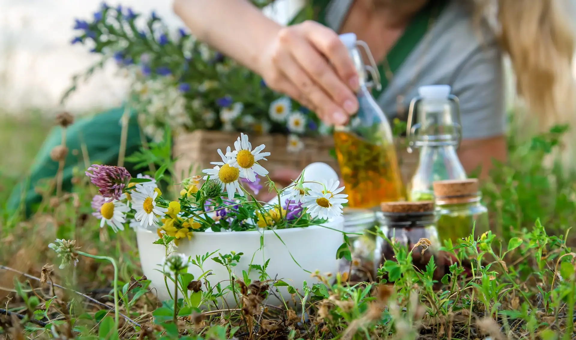 Die Wunder der Homöopathie: Natürliche Heilung für Körper und Geist