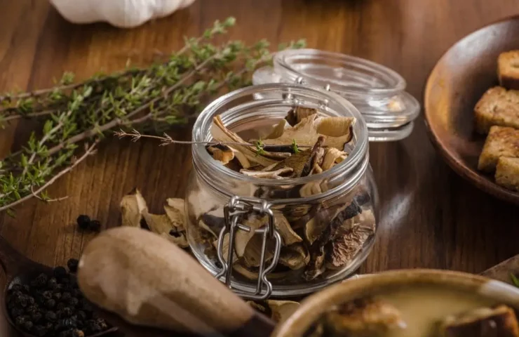kann man shiitake-pilze selber züchten?