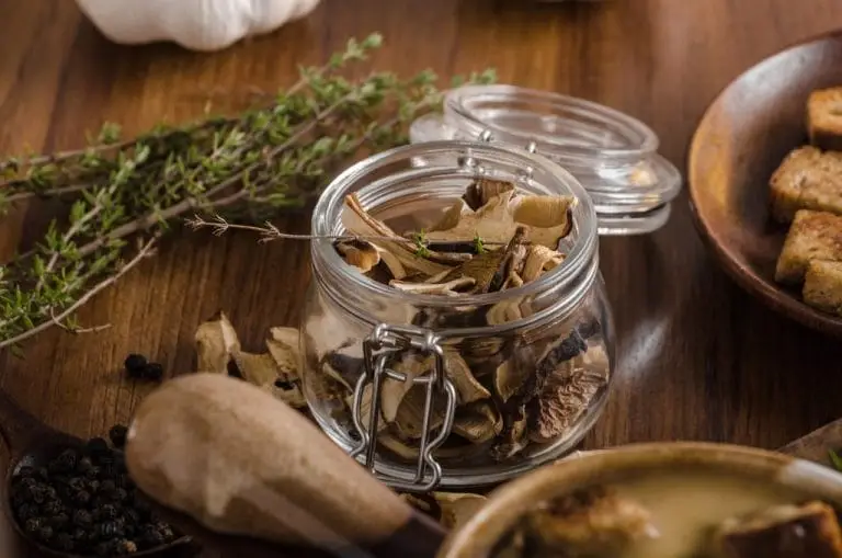 kann man shiitake-pilze selber züchten?