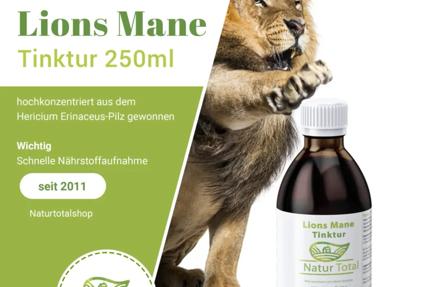 Leistungssteigerung des Gehirns
