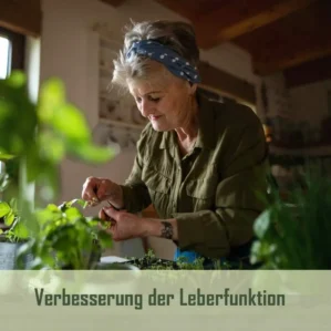 Gouttes amères après Hildegarde de Bingen