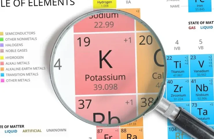 Pottassium, Der Körper Braucht Kalium