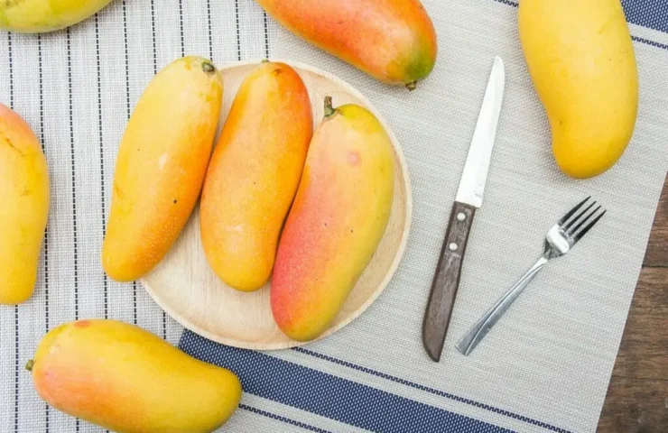 Die magische Welt der Mango: Eine Hommage an die 'Königin der Früchte'