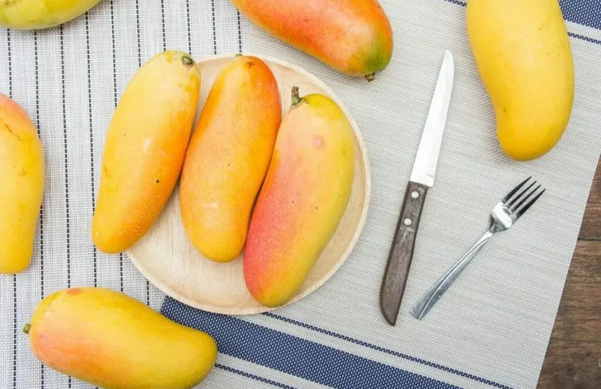Die magische Welt der Mango: Eine Hommage an die 'Königin der Früchte'