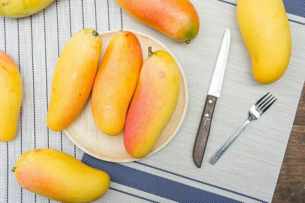 Die magische Welt der Mango: Eine Hommage an die 'Königin der Früchte'
