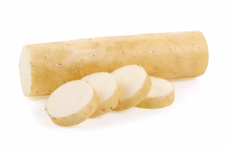 Yams Wurzel