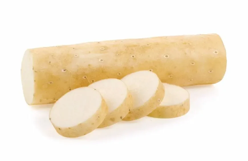 Yams Wurzel