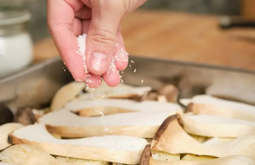 Pleurotus