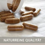 Natur Total Baikal Helmkraut Extrakt 120 Kapseln Baicalin (Scutellaria baicalensis)