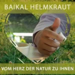 Natur Total Baikal Helmkraut Extrakt 120 Kapseln Baicalin (Scutellaria baicalensis)