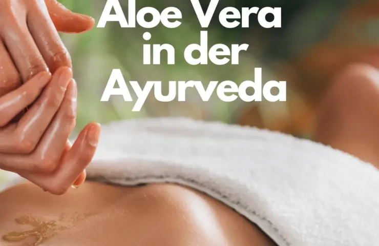 Aloe Vera in der Ayurveda: