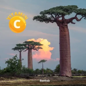 Natur Total Baobab Kapseln - Baobab vollgepackt mit Nährstoffen für Energie und Vitalität