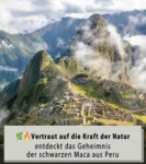Natur Total Premium MACA Kapseln hochdosiert 6000 mg