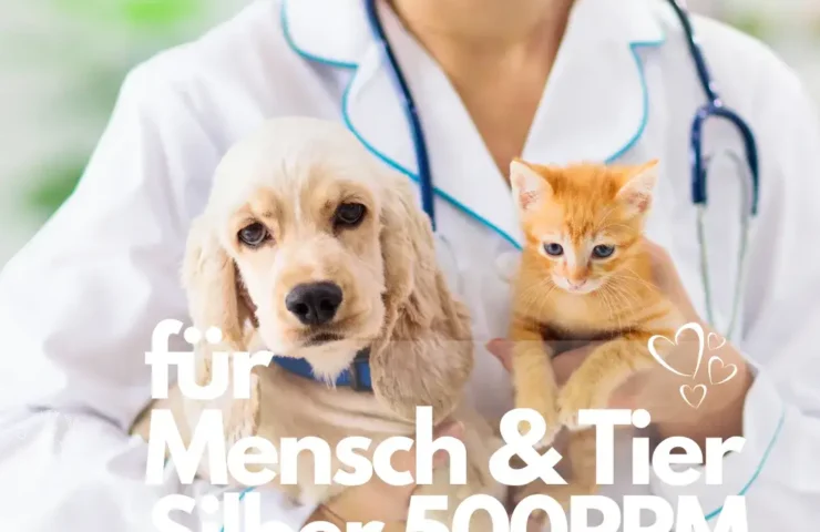 Silberspray für Tiere Wie Silberspray in der Tierpflege verwendet wird, inklusive Wundbehandlung und Schutz für Haustiere.