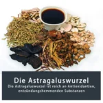 Natur Total Astragalus Extrakt 120 vegane Kapseln