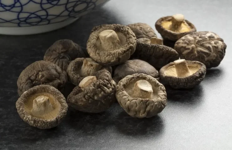 shiitake pilze getrocknet
