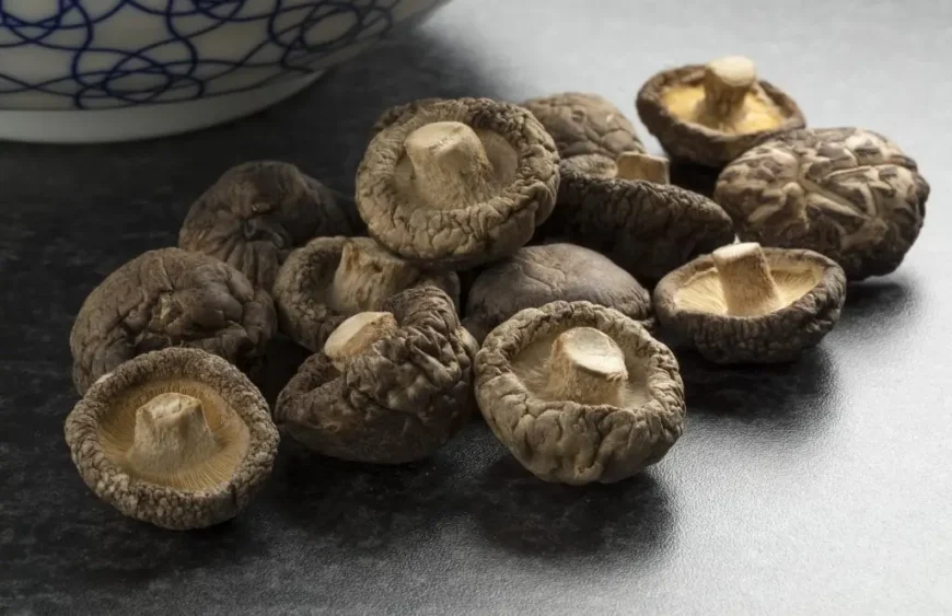 shiitake pilze getrocknet
