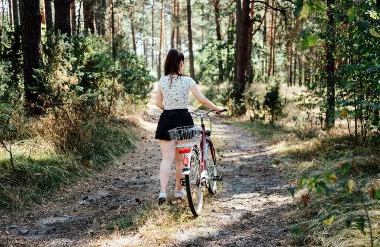 Die Top 10 gesundheitlichen Vorteile von Vitalpilzen, die jeder kennen sollte