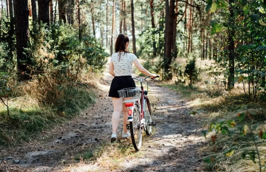 Die Top 10 gesundheitlichen Vorteile von Vitalpilzen, die jeder kennen sollte