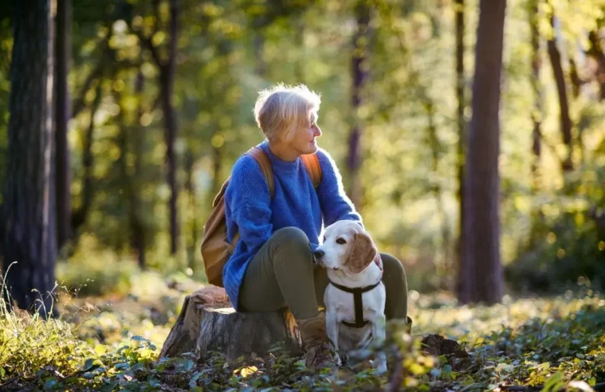 Vitalpilze für Hunde: Ein natürlicher Weg zu mehr Gesundheit