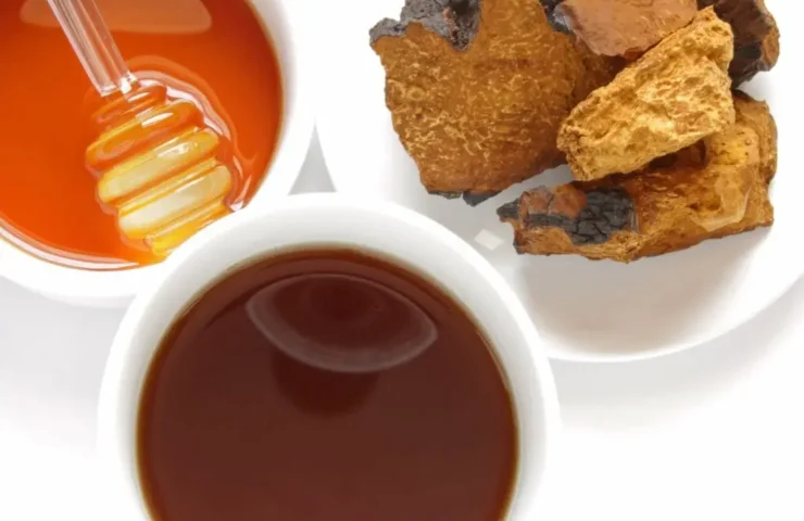 Chaga Pilz Tee