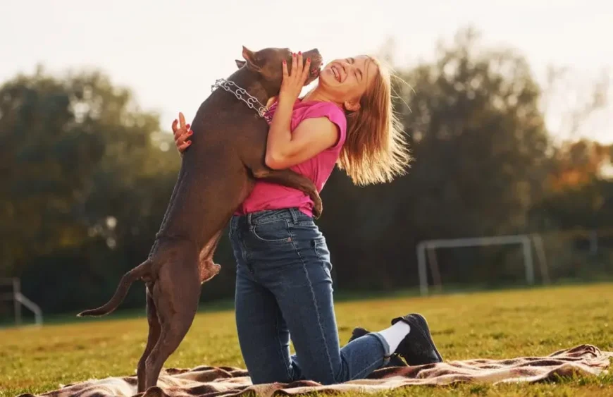 cdl dosierung tiere