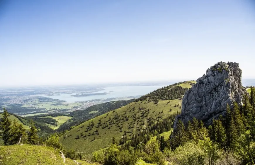 Vitalpilze Chiemsee: Ein Naturschatz in Bayern