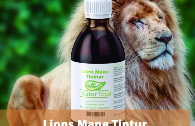 Lions Mane Tinktur