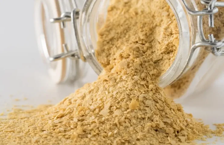 Die besten natürlichen Quellen für Vitamin B12