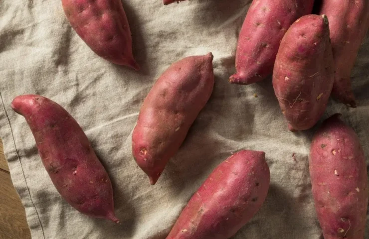 Yamswurzel: Ein unschätzbares Superfood für eine gesunde Verdauung