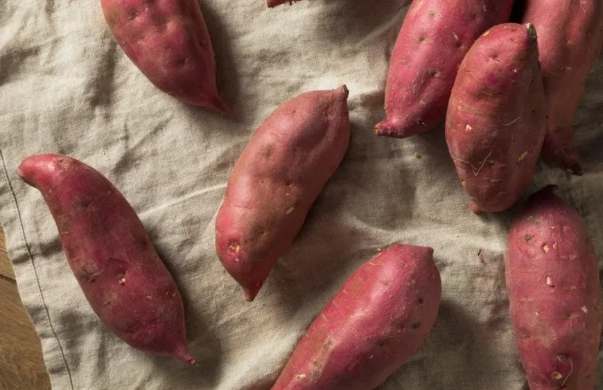 Yamswurzel: Ein unschätzbares Superfood für eine gesunde Verdauung