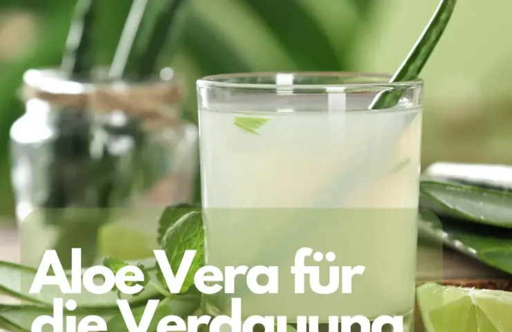 Aloe Vera für die Verdauung