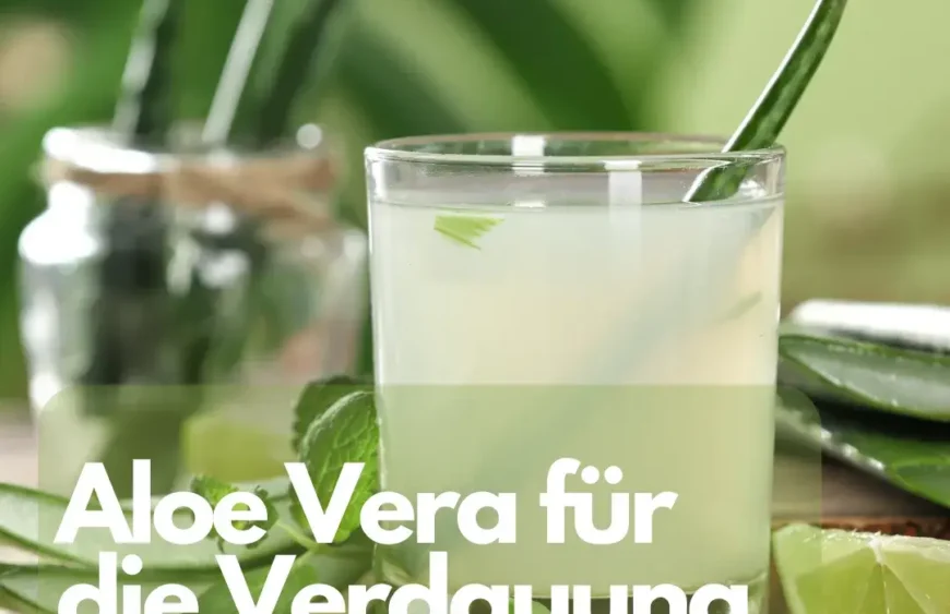 Aloe Vera für die Verdauung