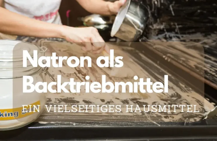 Natron als Backtriebmittel