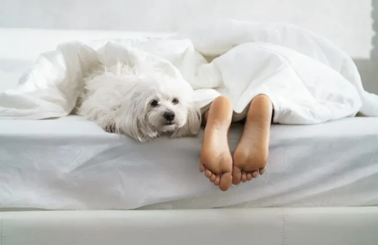 Melatonin: Eine natürliche Methode bei Schlafstörungen