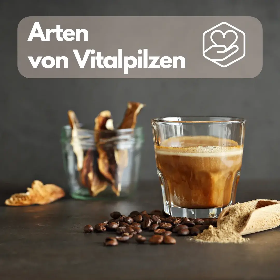 Arten von Vitalpilzen