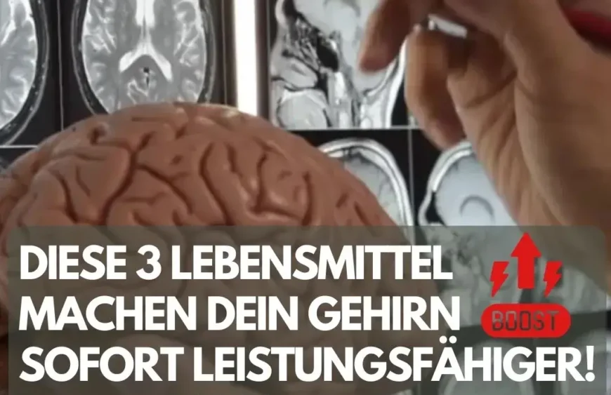 Diese 3 Lebensmittel machen dein Gehirn sofort leistungsfähiger!