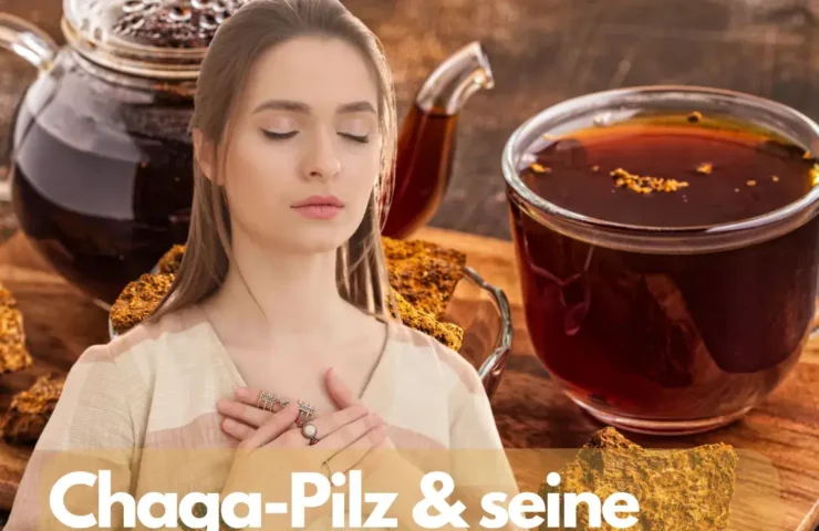 Heilende Wirkung von Chaga Ein detaillierter Blick auf den Chaga-Pilz und seine potenziellen Heilkräfte.