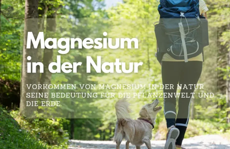 Magnesium in der Natur Vorkommen von Magnesium in der Natur, seine Bedeutung für die Pflanzenwelt und die Erde.