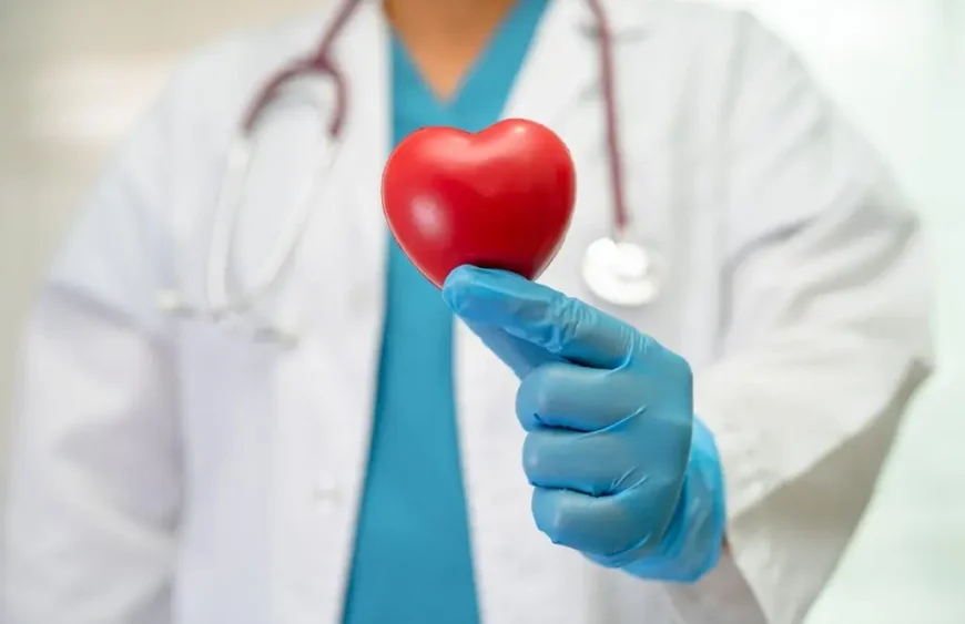 Was das Blut über unser Herz verrät