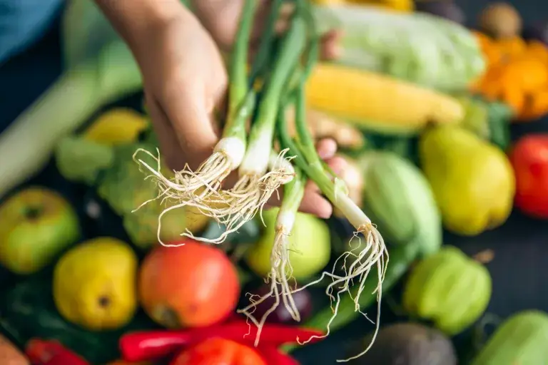 Quercetin: Eine natürliche und wirkungsvolle Ergänzung für ein starkes Immunsystem